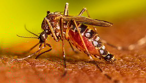 ಸಾಂದರ್ಭಿಕ ಚಿತ್ರ