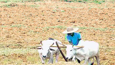 ಸಾಂದರ್ಭಿಕ ಚಿತ್ರ