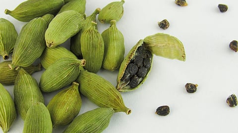 ಏಲಕ್ಕಿ (ಸಂಗ್ರಹ ಚಿತ್ರ)