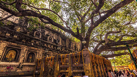 Maha Bodhi temple