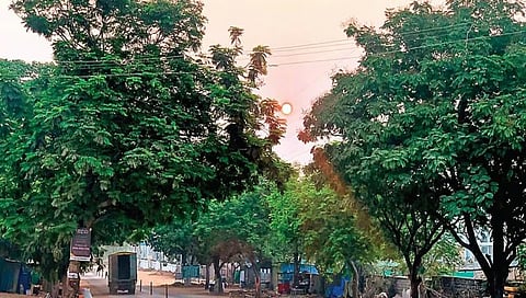 ಸಾಂದರ್ಭಿಕ ಚಿತ್ರ