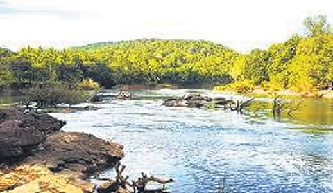 ಮಹಾದಾಯಿ ನದಿ