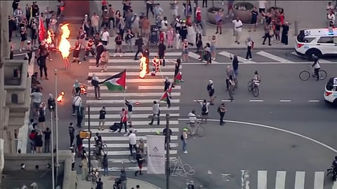 Pro-Palestinian protesters burn flags