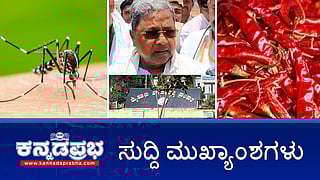 File pic