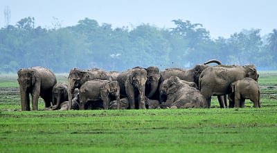 ಸಾಂದರ್ಭಿಕ ಚಿತ್ರ