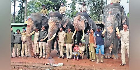 ಪವನ್ ಕಲ್ಯಾಣ್ ಮನವಿ ಪುರಸ್ಕರಿಸಿದ ರಾಜ್ಯ ಸರ್ಕಾರ: ಆನೆಗಳ ತರಬೇತಿಗೆ ಮಾವುತರ ಕಳುಹಿಸಲು ಒಪ್ಪಿಗೆ