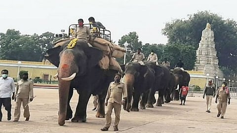 ಅಭಿಮನ್ಯು ಆನೆ