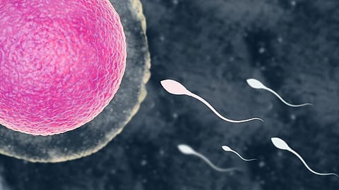 sperm donoation (file pic)