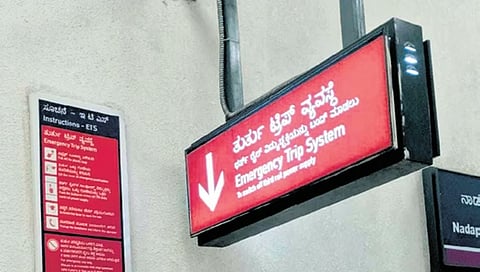 ಸಂಗ್ರಹ ಚಿತ್ರ