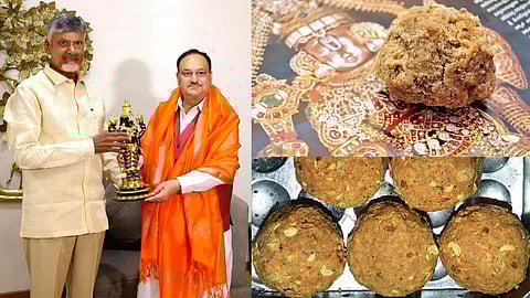 JP Nadda and Chandrababu Naidu