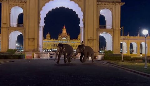 ಆನೆಗಳ ಗುದ್ದಾಟ