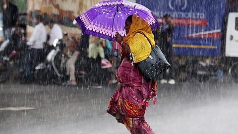 Widespread rain across the state