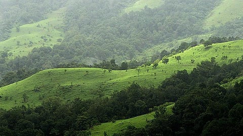 ಸಂಗ್ರಹ ಚಿತ್ರ