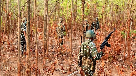 ಸಂಗ್ರಹ ಚಿತ್ರ