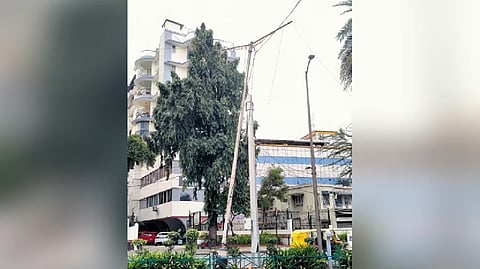 ಬಾಳೇಕುಂದ್ರಿ ವೃತ್ತದ ಬಳಿಯಿರುವ ಲೈಟ್ ಕಂಬಗಳು.