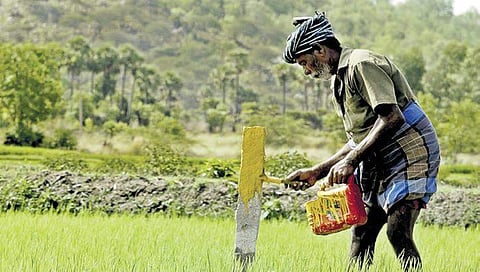 ಸಾಂದರ್ಭಿಕ ಚಿತ್ರ