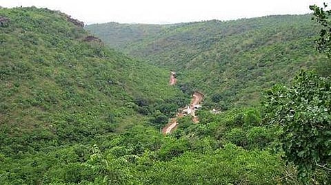 ಕಪ್ಪತಗುಡ್ಡ ಅರಣ್ಯ