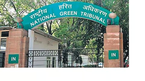 NGT ಸಾಂದರ್ಭಿಕ ಚಿತ್ರ