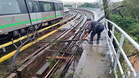 due a tree on Purple line train operations obstructing