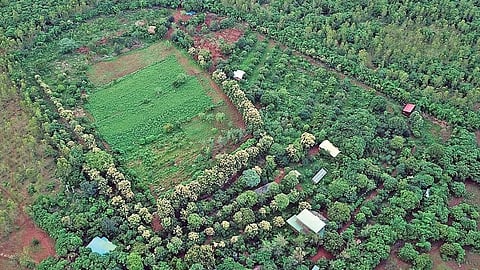 ಸಂಗ್ರಹ ಚಿತ್ರ