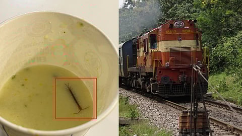 Delhi Man Finds Centipede In Meal At Railways VIP Lounge