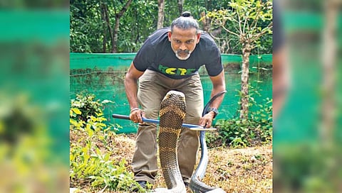 wildlife biologist P Gowri Shankar