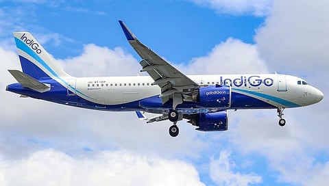Indigo Casual Images