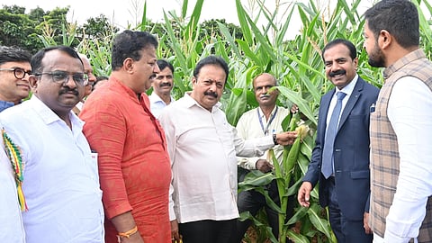 4-day Krishi Mela 2024 organised by the Bengaluru Agricultural University at the GKVK campus.