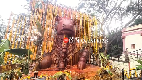 Mastakabhisheka was performed to the Nandi statue