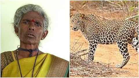 woman dies in leopard attack