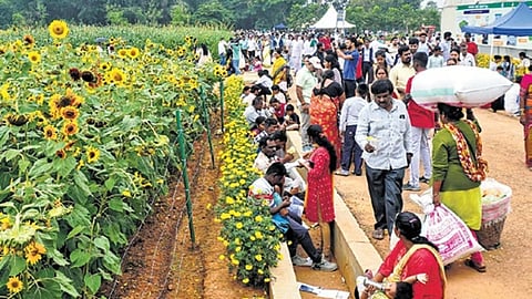 ಕೃಷಿ ಮೇಳ