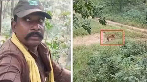 Forest Guards Escape Tiger Attack
