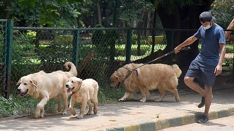 ಸಂಗ್ರಹ ಚಿತ್ರ