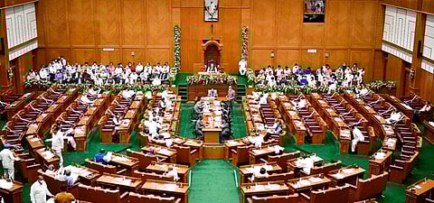 Legislative assembly 