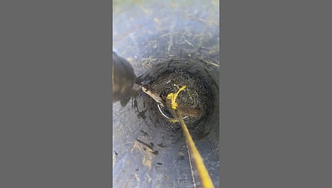 ಬೋರ್‌ವೆಲ್‌ಗೆ ಬಿದ್ದಿದ್ದ ನಾಗರಹಾವು ರಕ್ಷಣೆ