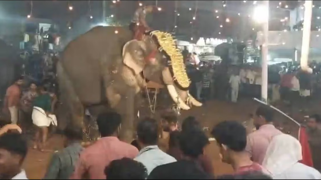 elephant runs amok during BP Angadi Nercha in Kerala