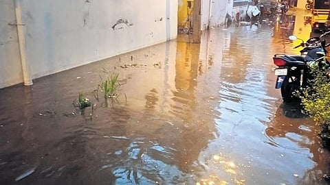 ಸಂಗ್ರಹ ಚಿತ್ರ