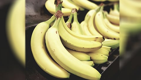 ಬಾಳೆಹಣ್ಣುಗಳು