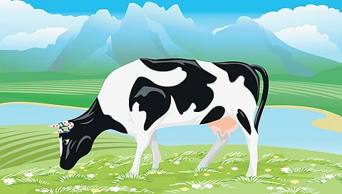 Representational image