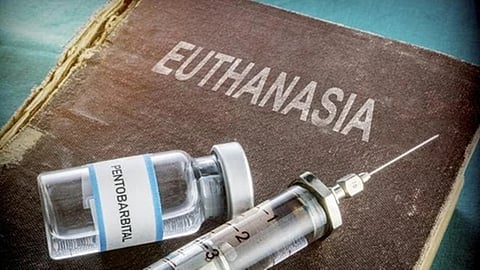 Euthanasia
