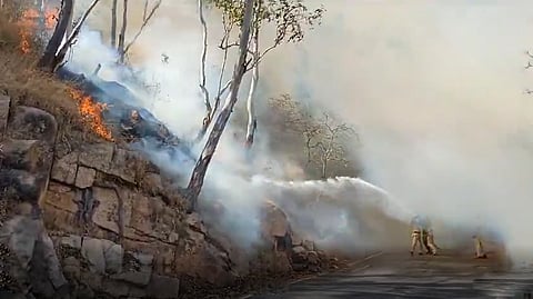 Forest fire in Mysuru Chamundi hills