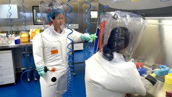 New Bat Coronavirus Capable Of Infecting Humans Discovered In China