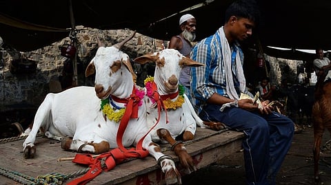 ಸಂಗ್ರಹ ಚಿತ್ರ