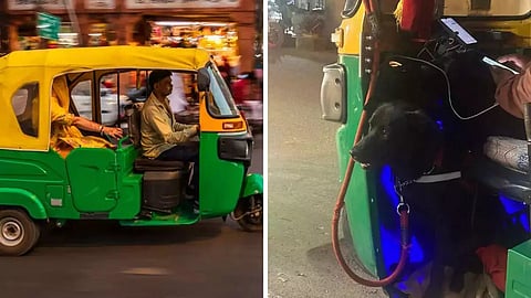 ಬೆಂಗಳೂರು: ಆಟೋ ಚಾಲಕನೊಂದಿಗೆ ಎಲ್ಲೆಡೆ ಪ್ರಯಾಣಿಸುವ 'ಜಾಕಿ': ಪೋಸ್ಟ್ ಭಾರಿ ವೈರಲ್!