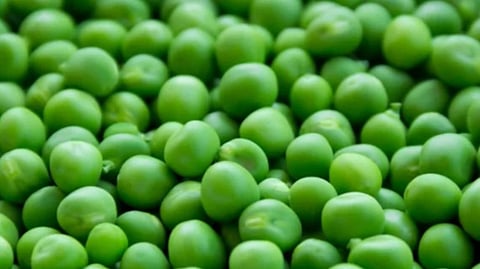 Green peas