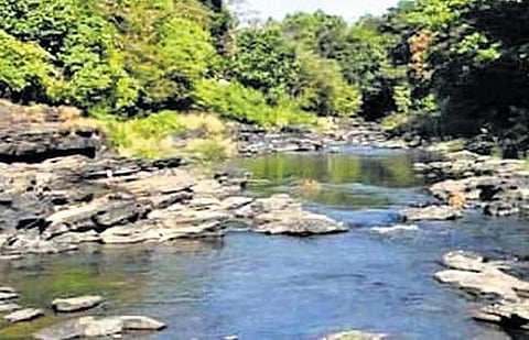 Mahadayi