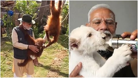 Modi at vantara