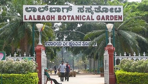 Lalbagh 