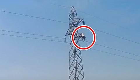 ಚಾಮರಾಜನಗರ: ಮದುವೆಗೆ ಹುಡುಗಿ ಸಿಗದಕ್ಕೆ ಹೈ-ಟೆನ್ಷನ್ ಕಂಬ ಹತ್ತಿ ತಾಯಿ ಕಣ್ಣೇದುರೇ ಮಸಣಶೆಟ್ಟಿ ಆತ್ಮಹತ್ಯೆ