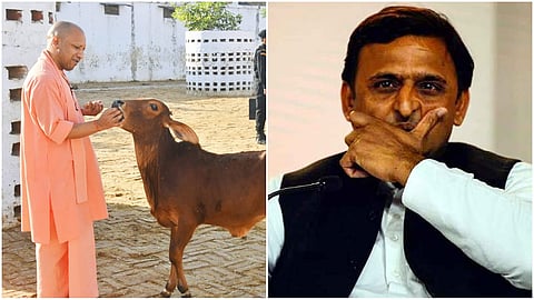 CM Yogi Adityanath- SP Leader Akhilesh Yadav